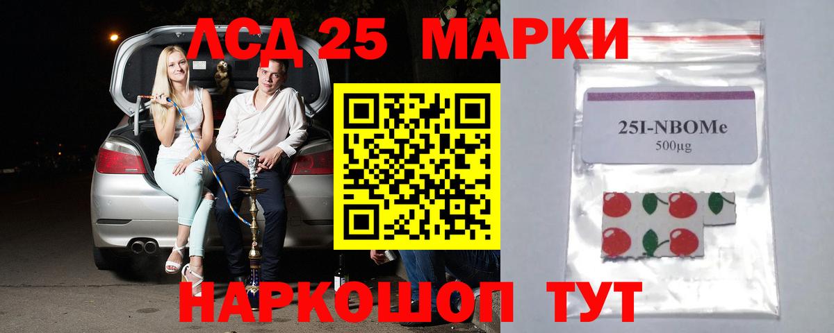 Волхов  LSD-25 экстази  LSD-25 экстази кислота  Вход с VPN  LSD-25 экстази кислота 