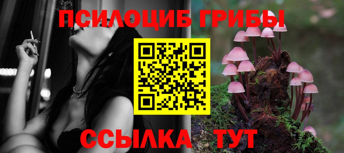 Псилоцибиновые грибы GOLDEN TEACHER  Вход с VPN  Волхов 