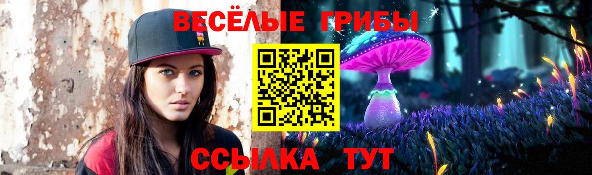 Псилоцибиновые грибы Cubensis Волхов